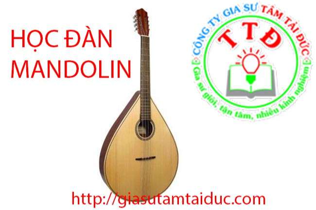 hoc dan mandolin