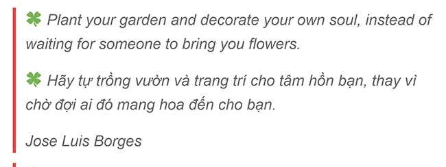Plant your garden and decorate your own soul instead of waiting for someone to bring you flowers ✅ TRIẾT LÝ SỐNG TRONG TIẾNG ANH 【TRIẾT LÝ SỐNG HAY BẰNG TIẾNG ANH】