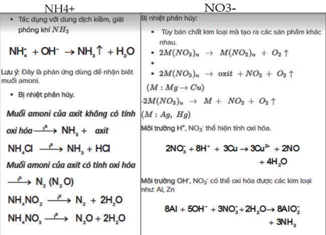 Muối amoni NH4+   và NO3–