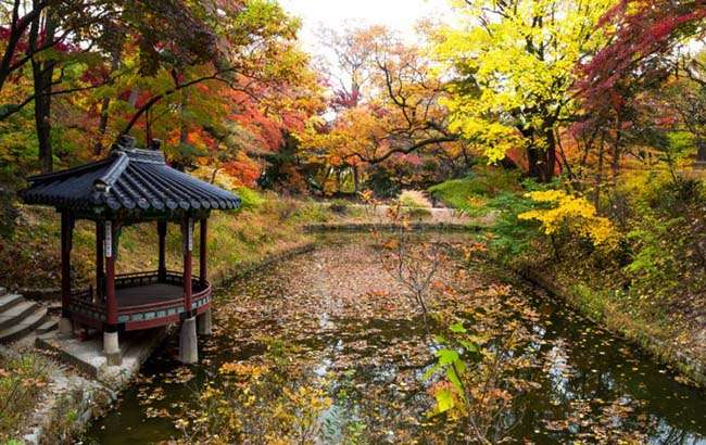 Đằng sau Changdeok có một khu vườn Biwon rộng lớn được gọi là Secret Garden (khu vườn bí mật)