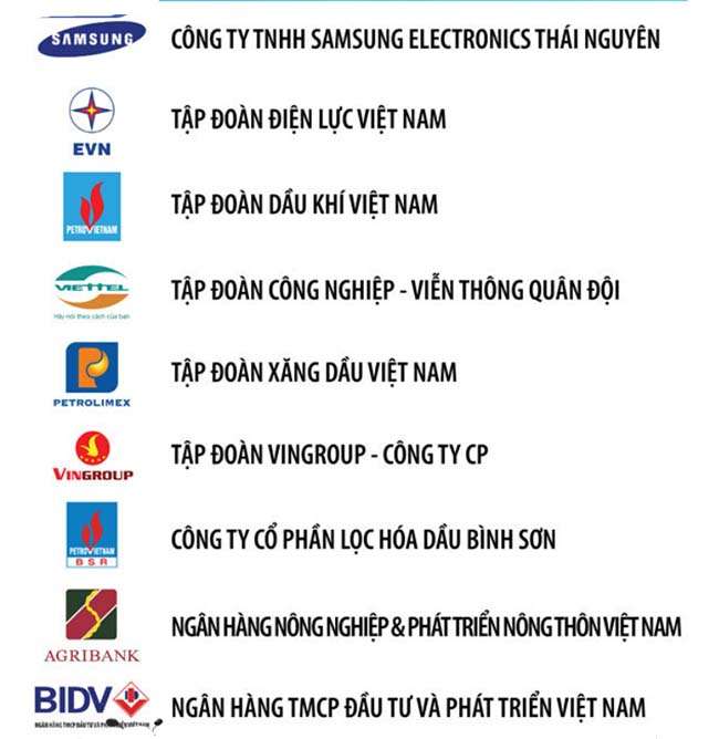 Top 10 Doanh nghiệp lớn nhất Việt Nam năm 2019