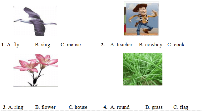 Read and choose the correct answer
