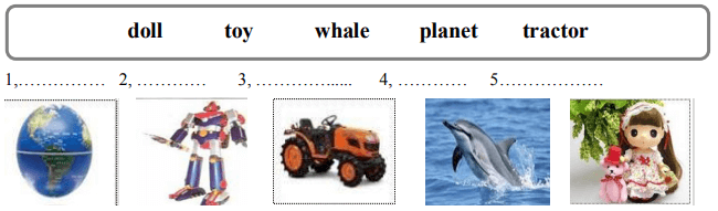 Write the correct words with the picture 3