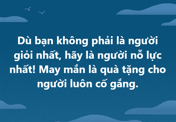 Dù bạn không phải là người giỏi nhất, hãy là người nỗ lực nhất! May mắn là quà tặng cho người luôn cố gắng.